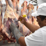 Açougueiro trabalhando com carne bovina em frigorífico