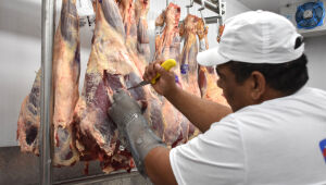 Arroba 13% mais cara: carne bovina pesa no bolso do sul-mato-grossense e sem queda à vista