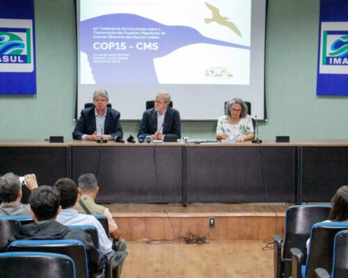 Campo Grande será sede da COP15 sobre espécies migratórias da ONU 